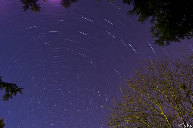 Startrail by Ludwig