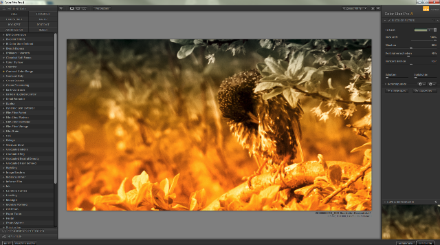 Color Effex 4 Pro Lightroom Plugin